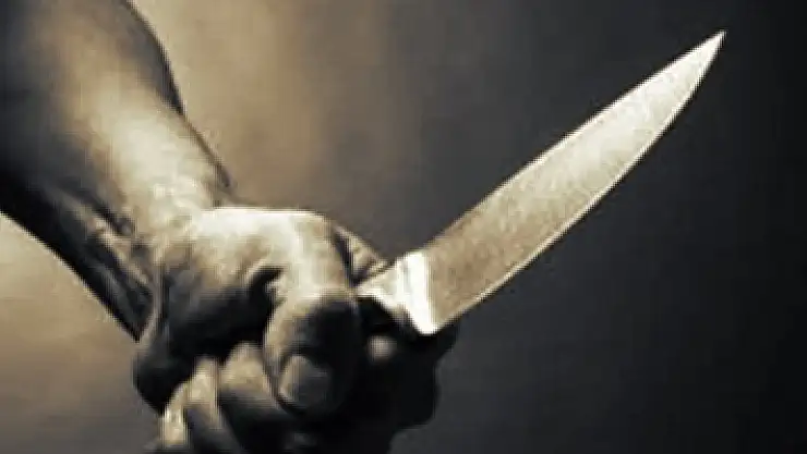 Arkadaşını bıçaklayarak öldüren şahıs tutuklandı