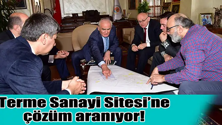 Terme Sanayi Sitesi'ne çözüm aranıyor!