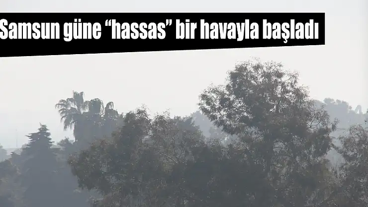 Samsun güne 'hassas' bir havayla başladı