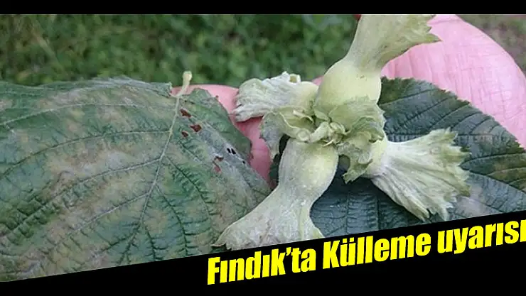 Akman'dan Külleme uyarısı!