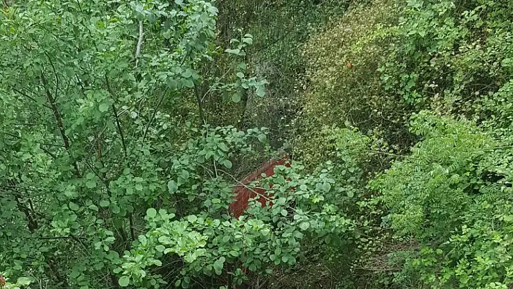  Otomobil uçuruma yuvarlandı: 1 yaralı