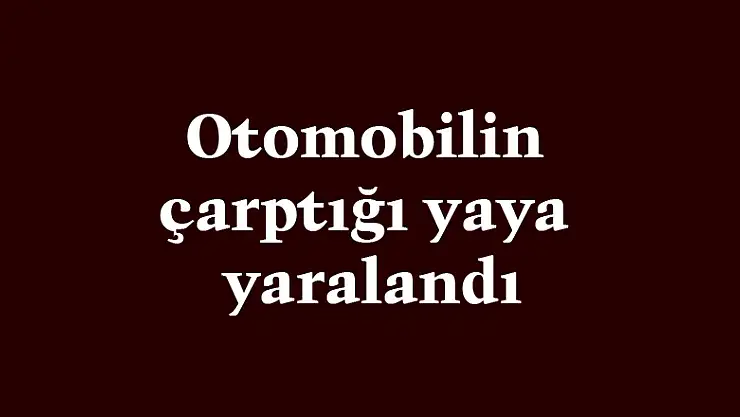 Otomobilin çarptığı yaya yaralandı
