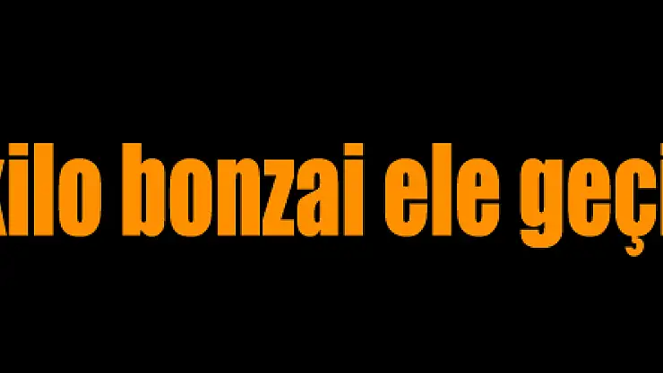 Samsun'da 4 kilo bonzai ele geçirildi: 3 gözaltı