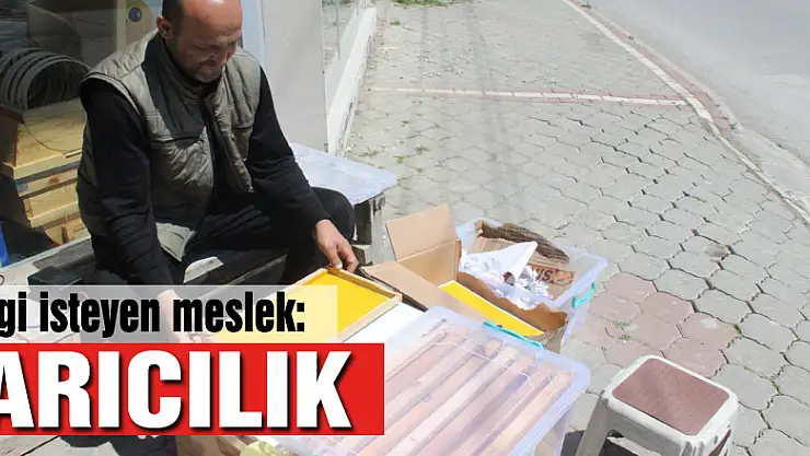 İlgi isteyen meslek: ARICILIK