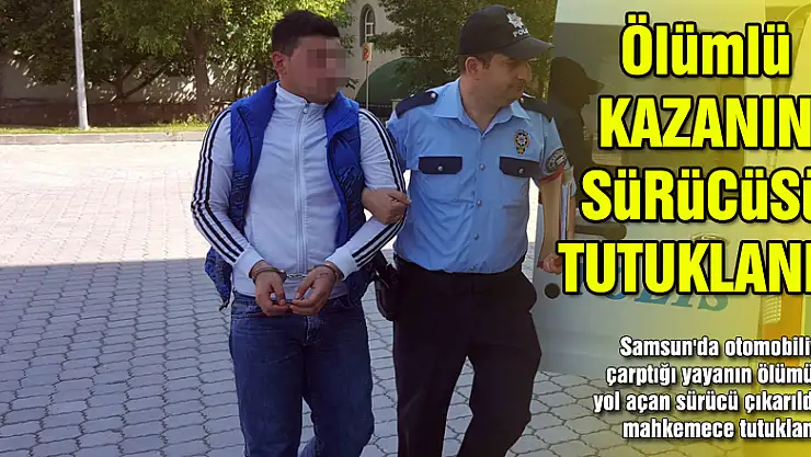Ölümlü kazanın sürücüsü tutuklandı