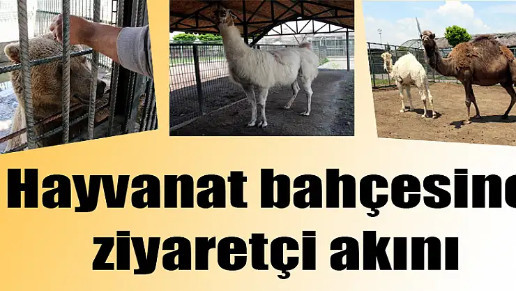 Hayvanat bahçesine ziyaretçi akını 