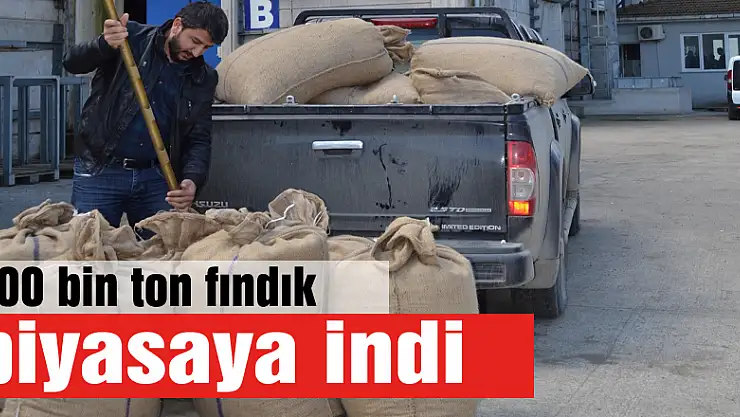 400 bin ton fındık piyasaya indi
