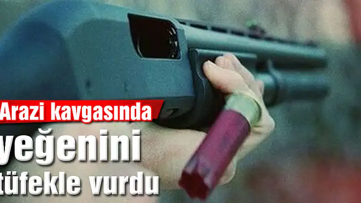 Arazi kavgasında yeğenini tüfekle vurdu