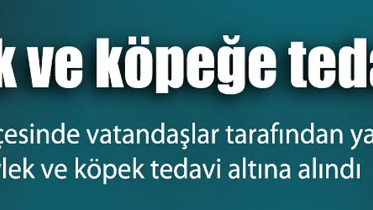 Yaralı leylek ve köpeğe tedavi
