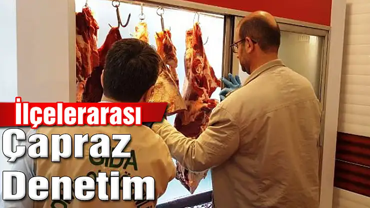 İlçelerarası Çapraz Denetim