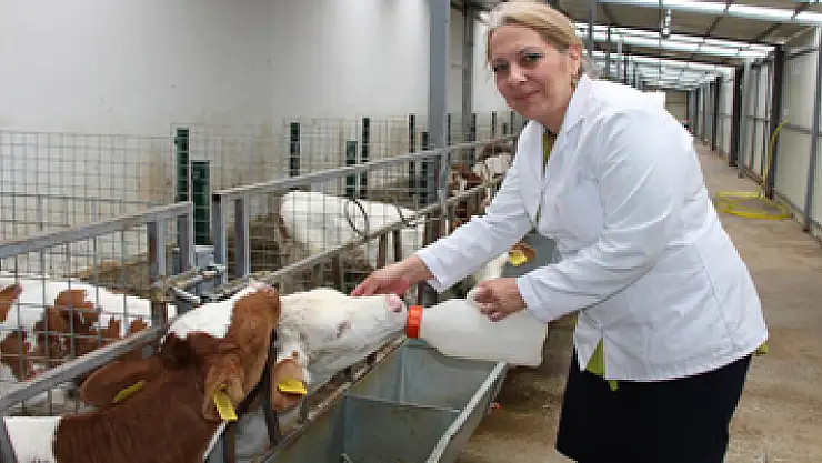 Heyecanlandıran proje Türkiye'nin 600 milyon euroluk zararını önleyecek