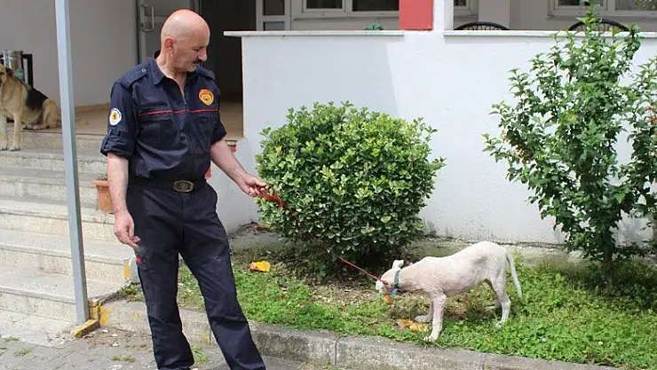 55 yaşında ki İtfaiye eri, Mahsur kalan köpeği kurtardı