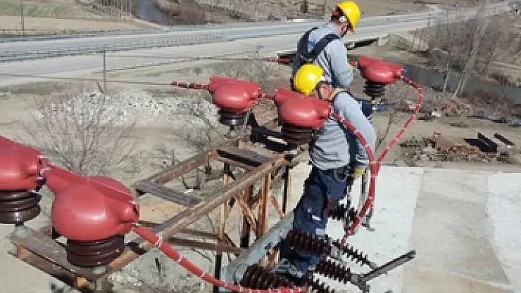 Enerji nakil hatları göçmen kuşlar için güvenli hale getirildi