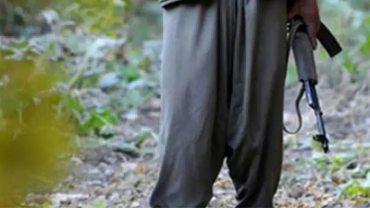 Lice'de etkisiz hale getirilen iki terörist yeşil listede