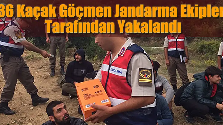 Günlerdir ormanda yaşıyorlardı! Yakalandılar