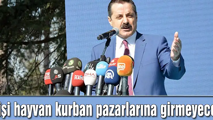 Bakan Çelik: Dişi hayvan kurban pazarlarına girmeyecek