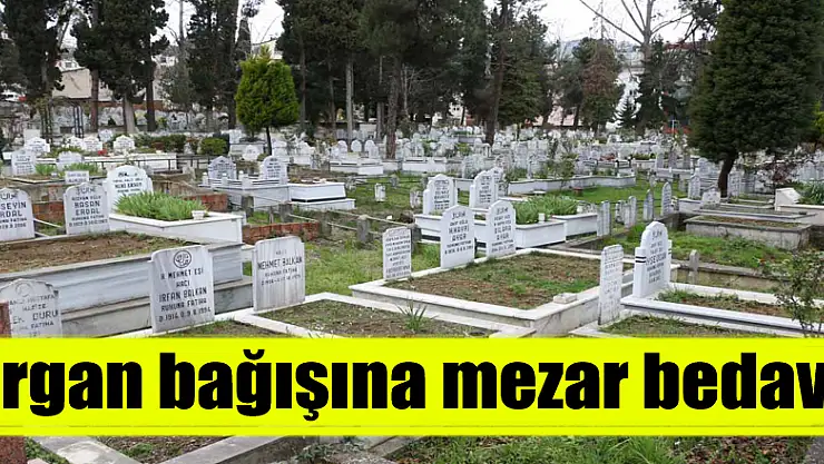 Organ bağışına mezar bedava