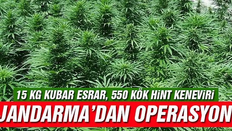 Çarşamba'da 15 kg kubar esrar yakalandı