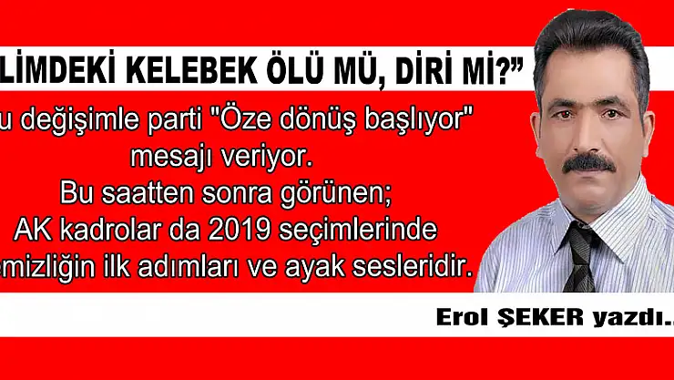 ' Elimdeki kelebek ölü mü diri mi?'