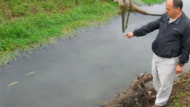 Artık onlar balık ve ördek yetiştirecek!..