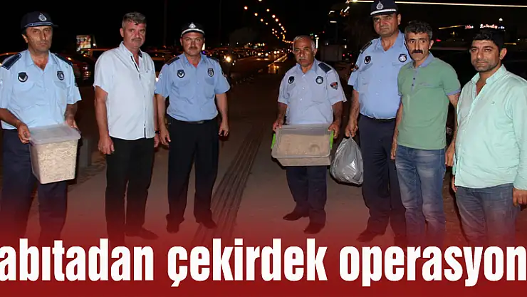 Zabıtadan çekirdek operasyonu