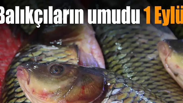 Balıkçıların umudu 1 Eylül