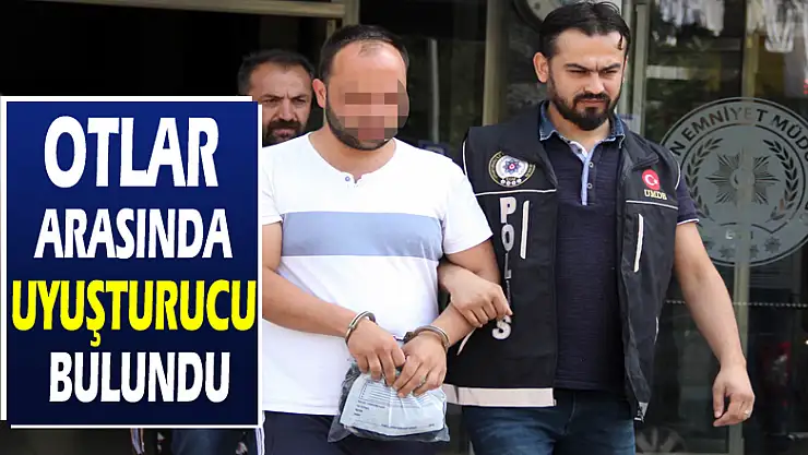 Otlar arasına uyuşturucu hap saklayan genç gözaltına alındı