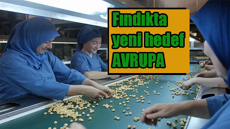 Fındıkta yeni hedef Avrupa