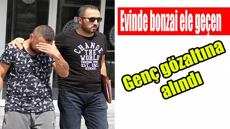 Evinde bonzai ele geçen genç gözaltına alındı