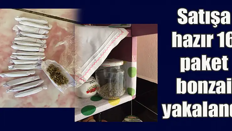 Satışa hazır 16 paket bonzai yakalandı