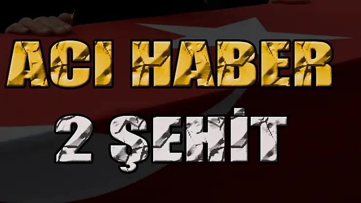 Lice'de askeri aracın geçişi sırasında patlama: 2 şehit