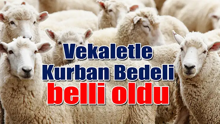 Vekaletle Kurban Bedeli belli oldu