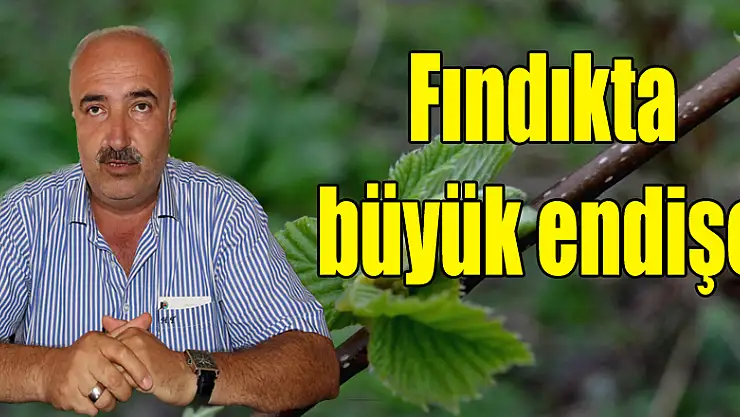 Fındıkta büyük endişe