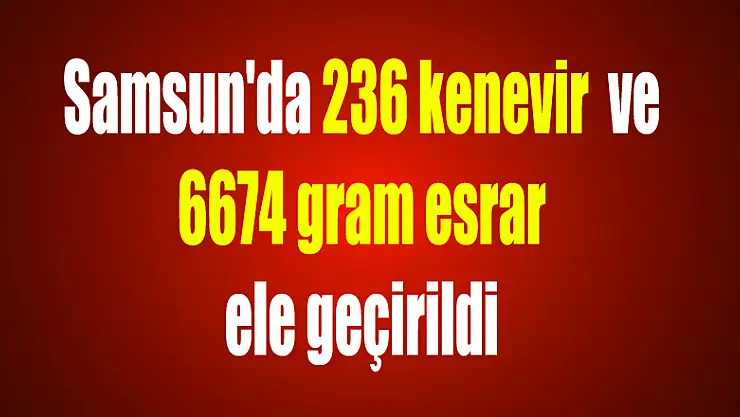 Samsun'da 236 kenevir ve 6674 gram esrar ele geçirildi