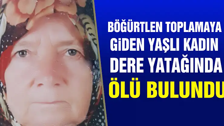 Böğürtlen toplamaya giden yaşlı kadın dere yatağında ölü bulundu