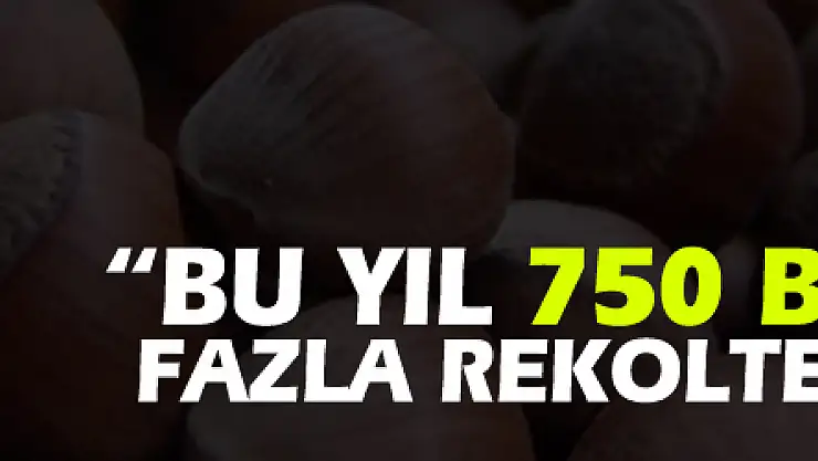 KFMİB Başkanı Sevinç: 'Bu yıl 750 bin tondan fazla rekolte bekliyoruz'