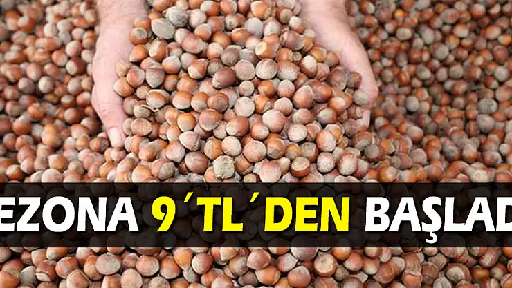 FINDIK, SEZONA 9´TL´DEN BAŞLADI