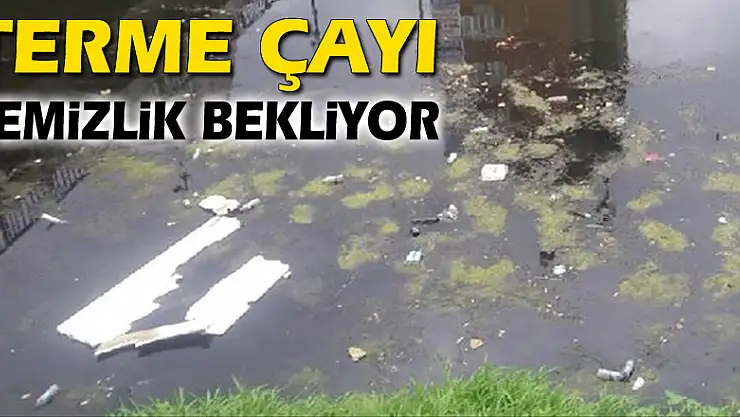TERME ÇAYI TEMİZLİK BEKLİYOR