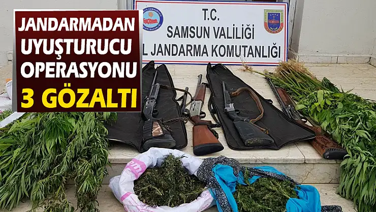 Jandarmadan uyuşturucu operasyonu: 3 gözaltı