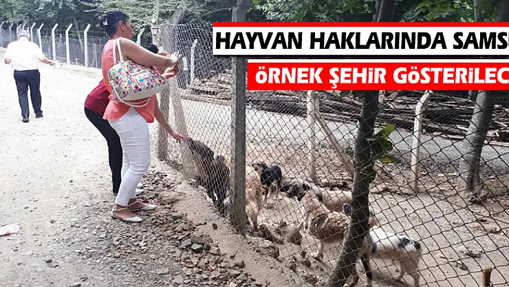 Hayvan haklarında Samsun örnek şehir gösterilecek