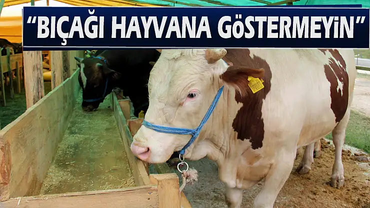 Müftülükten uyarı: 'Bıçağı hayvana göstermeyin'