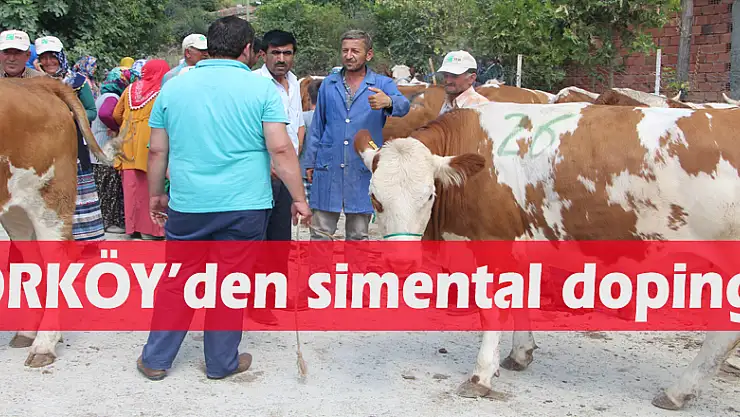 ORKÖY'den simental dopingi