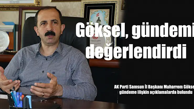 Göksel, gündemi değerlendirdi
