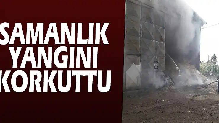 Samanlık yangını korkuttu