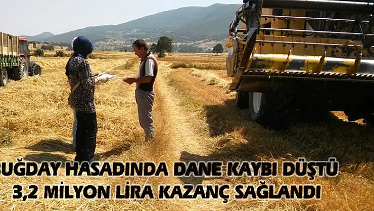 Buğday hasadında dane kaybı düştü, 3,2 milyon lira kazanç sağlandı