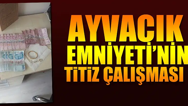 Ayvacık Emniyeti'nin titiz çalışması