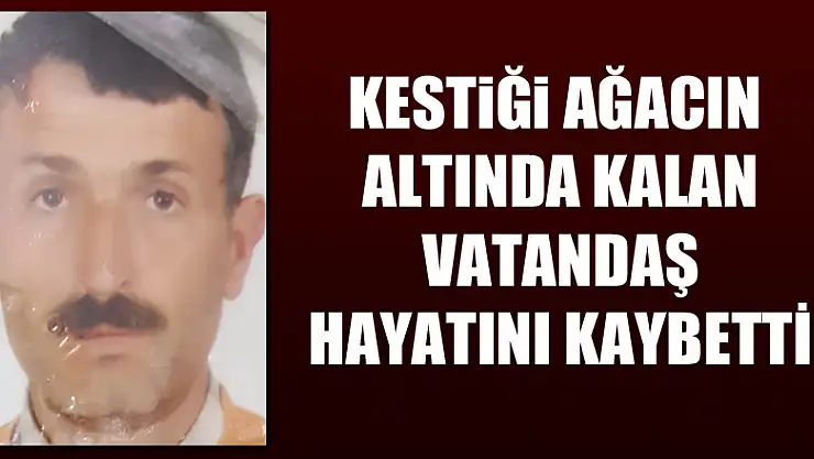 Kestiği ağacın altında kalan vatandaş hayatını kaybetti