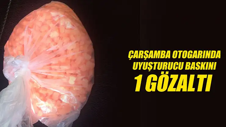 Otogarda uyuşturucu baskını: 1 gözaltı