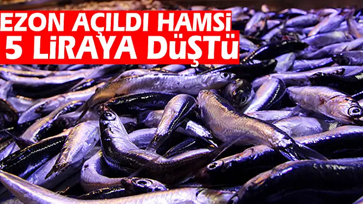 Sezon açıldı hamsi 15 liraya düştü