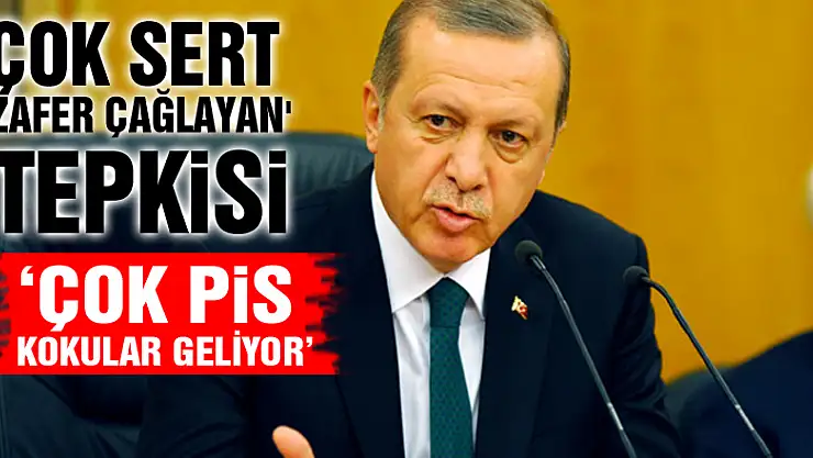 Erdoğan'dan çok sert 'Zafer Çağlayan' tepkisi